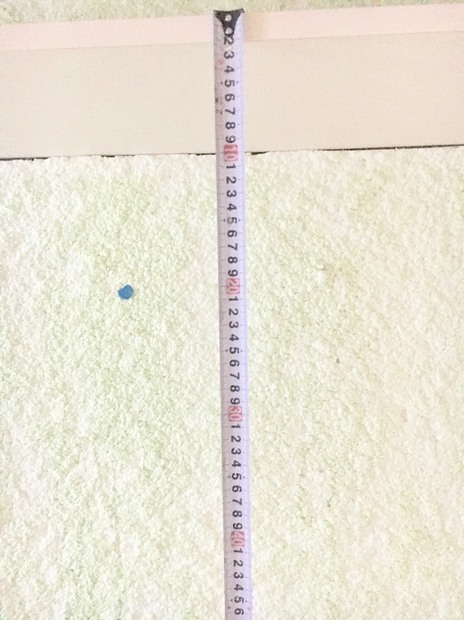 S__154345477.jpg